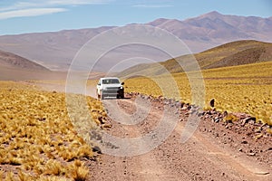 Car along the road with Peruvian feathergrass in the Puna de Atacama, Argentina