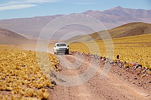 Car along the road with Peruvian feathergrass in the Puna de Atacama, Argentina photo