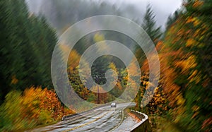 Car ascends hill flanked by autumn colors in heavy rain
