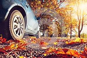 Car on asphalt road in autumn