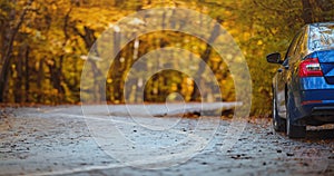 Car on asphalt road on autumn day in park