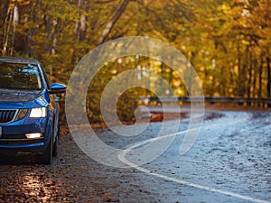 Car on asphalt road on autumn day in park