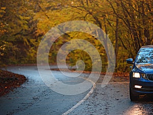 Car on asphalt road on autumn day in park