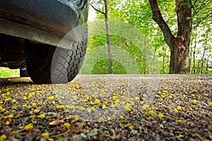 Car on asphalt road in spring