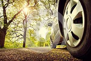 Car on asphalt road in spring