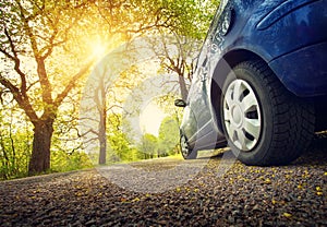 Car on asphalt road in spring