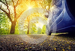 Car on asphalt road in spring