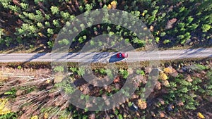 Car in autumn forest - top down shot