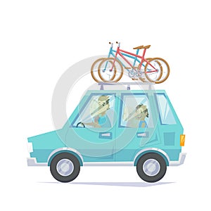 Car with bike