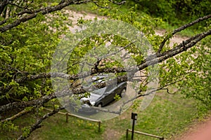 The car is bitten through trees, the car is blurred, from above