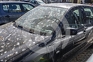 The car in black has a lot of bird droppings on the hood and on the windshield, abandoned car in the parking.