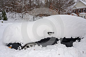 Car buried