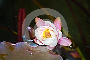 Car burned, abandoned and rusty