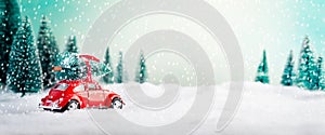 Car Carrying Christmas Tree