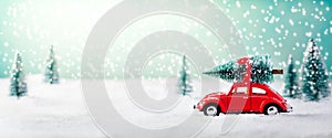 Car Carrying Christmas Tree