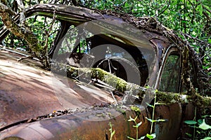 Car cemetery