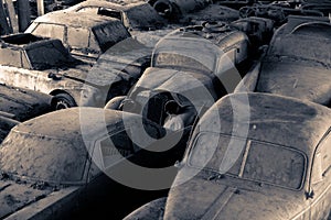 Car cemetery