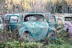 Car cemetery in Sweden