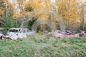 Car cemetery in Sweden