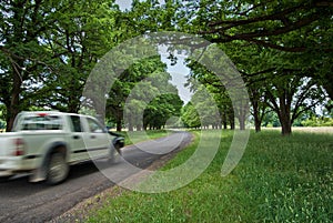 Car on country road