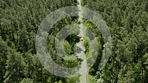 Car country road forest drone tree aerial