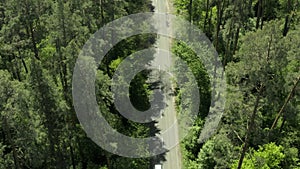 Car country road forest drone tree aerial