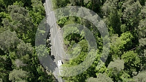 Car country road forest drone tree aerial