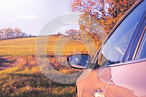 Car on the country road surrounded by nature.