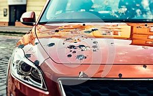 Car Covered in Bird Droppings