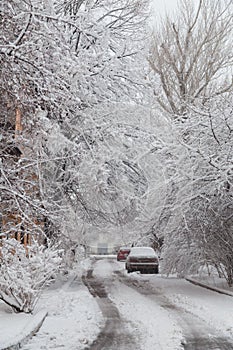 Car covered with snow on snowy trees and winter background. Blizzard, snowfall, snowstorm. Weather conditions concept