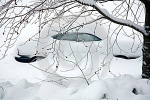 car covered in snow, tree branches poking through