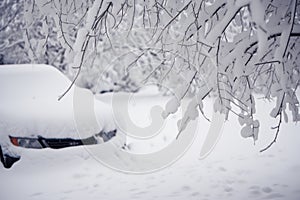 car covered in snow, tree branches poking through