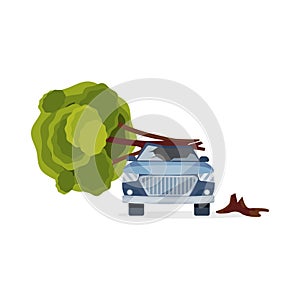 Car damaged by fallen tree. Blue automobile with broken windshield. Flat vector element for advertising banner of