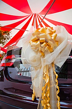 Car decorated with ribbon