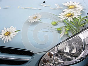 Auto kreslit květiny 