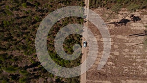 Car drives on gravel road between green forest and dry desert land. Aerial view