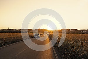 Car driving through the corn fields at twilight