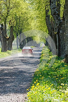 Car driving on a dusty road with green lush treeline