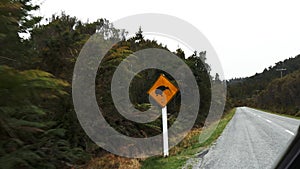 Car driving past a kiwi road sign