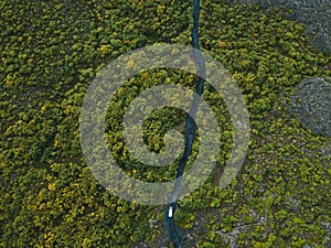 car driving on the road aerial view from above, travel to wilderness