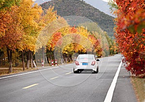 A car is driving on a road in the mountainous countryside in late autumn.