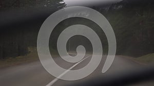 Car driving on the road in nature on a cloudy day. Driving through pine forest landscape