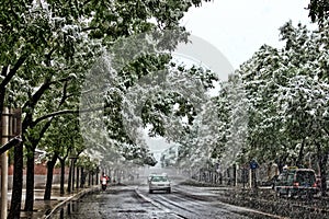 Car driving on road during snow storm