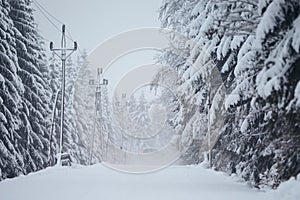 Car driving on snow covered road in the middle of forest