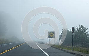 Car Driving Through Thick Fog in Early Morning and Encounters a Moose Sign