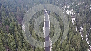 Car driving on winter country road in snowy forest, aerial view from drone in 4k. Aerial view of the forest with tall