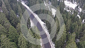 Car driving on winter country road in snowy forest, aerial view from drone in 4k. Aerial view of the forest with tall