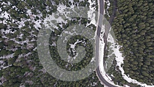 Car driving on winter country road in snowy forest, aerial view from drone in 4k. Aerial view of the forest with tall