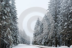 Car driving on winter road