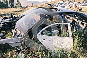 Car dump, scrap metal. Close-up of an old abandoned cars in a junkyard with grass sprouting inside and overgrown cobwebs